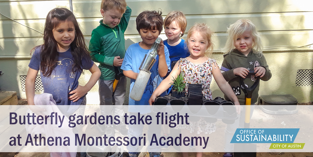 Students at Athena Montessori pose for the camera holding up plants. The text reads "Butterfly gardens take flight at Athena Montessori". There is a City of Austin Office of Sustainability logo in the bottom-right corner.